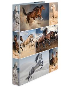 Classeur à 2 anneaux - Dos de 35 mm - Chevaux HERMA