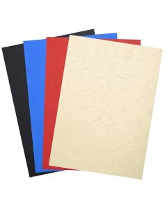 Photo Couvertures pour reliure - Grain de cuir - Assortiment EXACOMPTA Forever