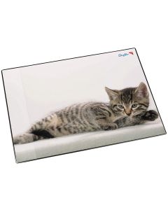 Photo Sous-mains de bureau - 530 x 400 mm - Chat gris LAUFER 46592