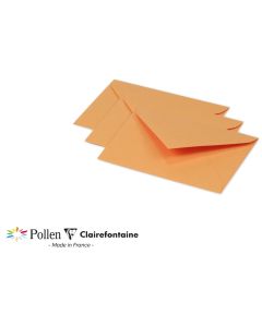 Photo Enveloppe POLLEN Clémentine Format  75 x 100 mm 5490C