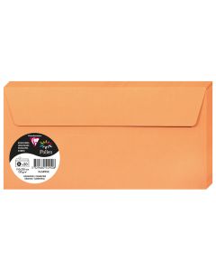 Photo Enveloppe POLLEN Clémentine  Format  110 x 220 mm 5495C
