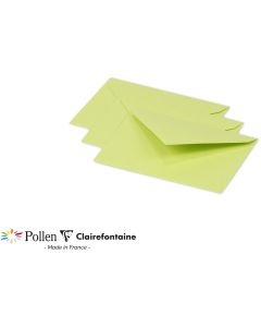 Photo Enveloppe POLLEN Vert bourgeon Format  75 x 100 mm 55470C