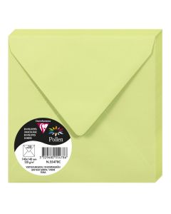 Photo Enveloppe POLLEN Vert Bourgeon Format  140 x 140 mm 55478C