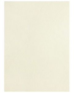 Photo Plat de couverture pour reliure A4 - Carton Grain Cuir - Ivoire mat PAVO (8011216)