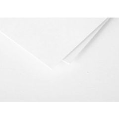 Photo POLLEN : Carte de papier Blanc - Format 70 x 95 mm 11216C