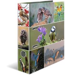 Classeur à 2 anneaux - Dos de 70 mm - Chevaux : HERMA image