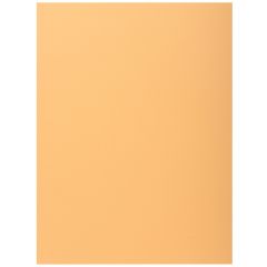 Lot de 50 Chemises à 1 rabat - Bulle EXACOMPTA Super 210 Image