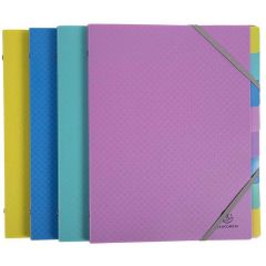 Photo Trieur 8 compartiments - Assortiment EXACOMPTA Forever Young