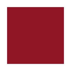 Feuilles de papier de couleur - 500 x 700 mm - Rouge tuile : FOLIA Lot de 10