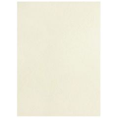 Photo Plat de couverture pour reliure A4 - Carton Grain Cuir - Blanc mat PAVO 8011100