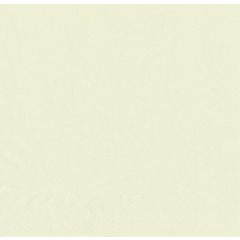 Serviettes de table Cocktail - 240 x 240 mm - Creme PAP STAR Lot de 250 image