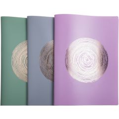 Protège-Documents de 60 Vues - Assortiment : EXACOMPTA Ellipse assortiment