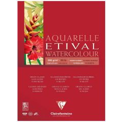 Bloc aquarelle - A5 - 148 x 210 mm - Lot de 12 : CLAIREFONTAINE Etival image
