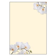 SIGEL DP904 : Lot de 50 feuilles de papier - Orchidée blanche