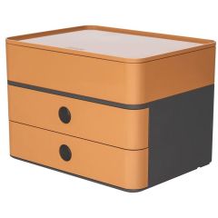 Photo Module de rangement - 260 x 195 x 190 mm - Caramel HAN Smart Box Plus Allisson