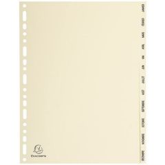 Photo Jeu de 12 Intercalaires mensuels en carton - A4 EXACOMPTA Image