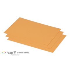 Photo POLLEN Carte Clémentine 158 x 222 mm C5 1636C Clairefontaine