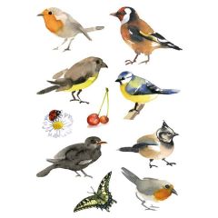 Photo HERMA : Lot de 30 stickers en papier - Oiseaux aquarelle - 3351