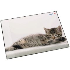 Photo Sous-mains de bureau - 530 x 400 mm - Chat gris LAUFER 46592