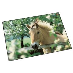 Photo Sous-mains de bureau - 530 x 400 mm - Cheval à la clôture LAUFER 46640