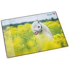 Photo Sous-mains de bureau - 400 x 530 mm - Cheval dans un champ de colza LAUFER