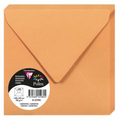 Photo Enveloppe POLLEN Clémentine Format  140 x 140 mm 5598C