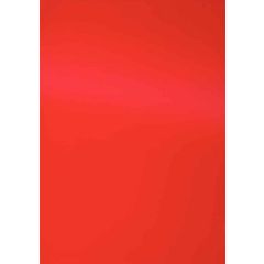 photo Plat de couverture pour reliure A4 - Carton Grain Cuir - Rouge PAVO (8005291)