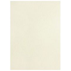 Photo Plat de couverture pour reliure A4 - Carton Grain Cuir - Ivoire mat PAVO (8011216)