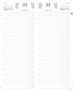 Agenda Journalier 2024 - Recettes et Dépenses - 140 x 350 mm : LECAS pages