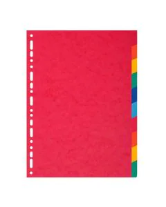 EXACOMPTA : Jeu de 10 intercalaires neutres en carte recyclée 2110E