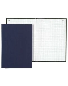 LE DAUPHIN : Registre - 500 pages quadrillées 427507D