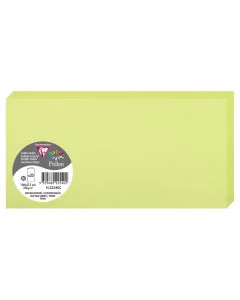 Photo POLLEN : Carte double de papier - Format DL - Vert bourgeon 22540C