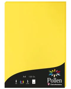 Photo Feuille de couleur Jaune soleil 210 x 297 mm A4 POLLEN 4217C