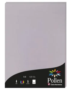 Photo Feuille de couleur Gris koala 210 x 297 mm A4 POLLEN 4232C