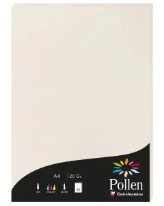Photo Feuille de couleur Gris perle 210 x 297 mm A4 POLLEN 4268C