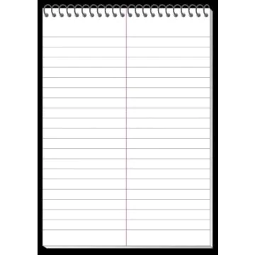 Bloc Sténo ligné à spirales - 148 x 210 mm A5 - 40 feuilles : LANDRE Work Image