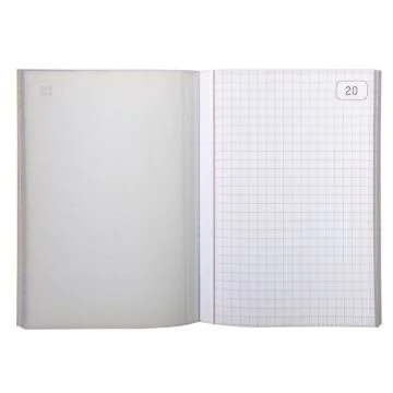 LE DAUPHIN : Manifold autocopiant Dupli - Quadrillé - 148 x 105 mm Modèle