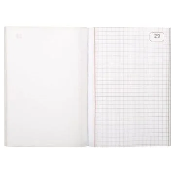 LE DAUPHIN Carnet autocopiant tripli Quadrillé148 x 105 mm 1103D Modèle