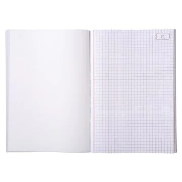 LE DAUPHIN Carnet quadrillé autocopiant dupli  210 x 148 mm 1112D Modèle