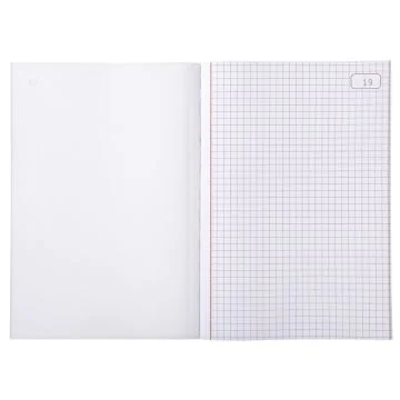 LE DAUPHIN 1113D Manifold quadrillé autocopiant tripli  210 x 148 mm Modèle 