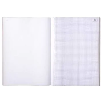 Carnet quadrillé autocopiant dupli A4 1122D LE DAUPHIN Modèle