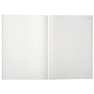 LE DAUPHIN Carnet autocopiant tripli Quadrillés - 297  x 210 mm 1123D Modèle