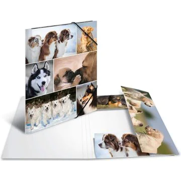 Chemise à rabats - Motif Chiens et Chiots - A4 : HERMA Image