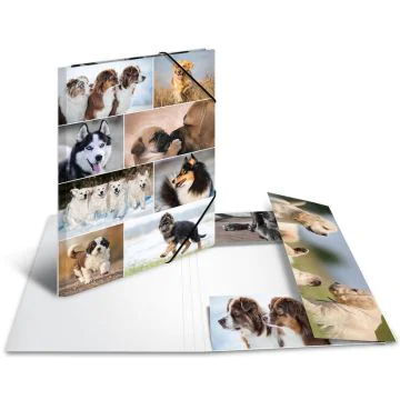 Chemise à rabats A3 - Motifs Chiens HERMA