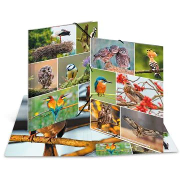 Chemise à élastiques A4 - Motif Oiseaux HERMA image