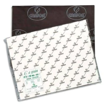 Feuilles de papier à dessin C grainé - Blanc - 500 x 650 mm : CANSON Visuel