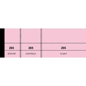 PASSE - PARTOUT Lot de 100 tickets - Rose (Carnet 214 ELVE Lebon et Vernay)