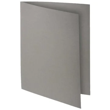 Lot de 10 Chemises pour dossiers A4 ROCK'S 210 - Gris : EXACOMPTA 
