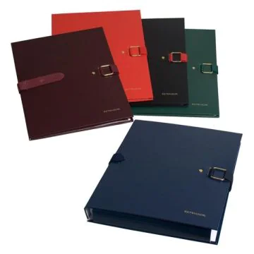 EXACOMPTA Extensor Balacron :  Chemises avec rabat à sangle - Assortiment 22090E