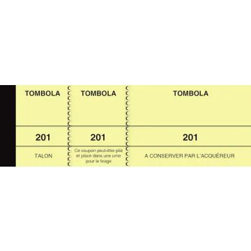 TOMBOLA Elve : Carnet de 1.000 de tickets de Tombola - Jaune 253